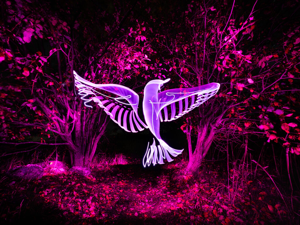 Punertavaan maisemaan maalattu valolla purppurainen lintu