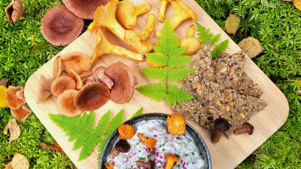 Kuvassa puualustalla metsän antimia kuten sieniä kauniisti aseteltuna.