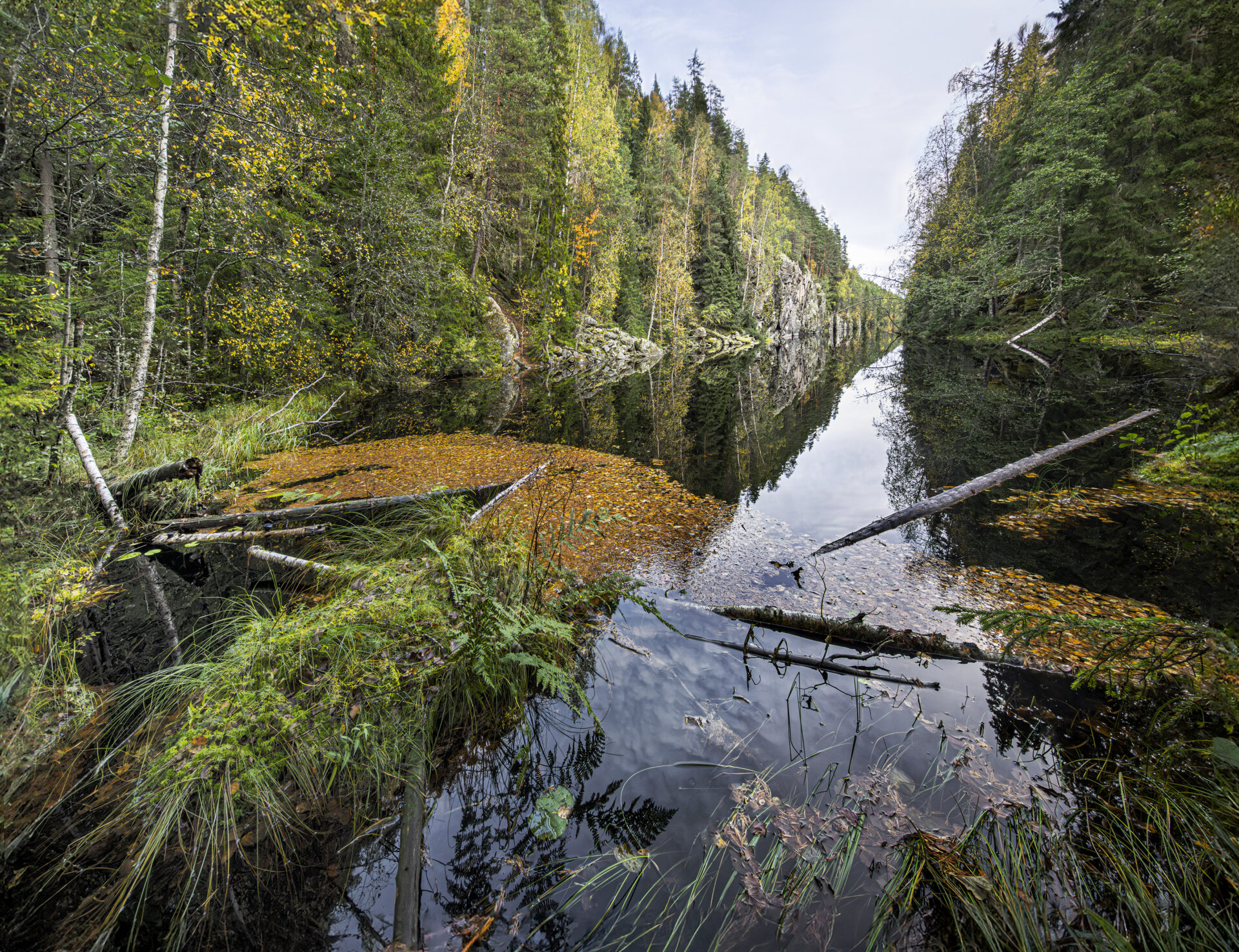 Tyyni rotkojärvi ruskamaiseman keskellä